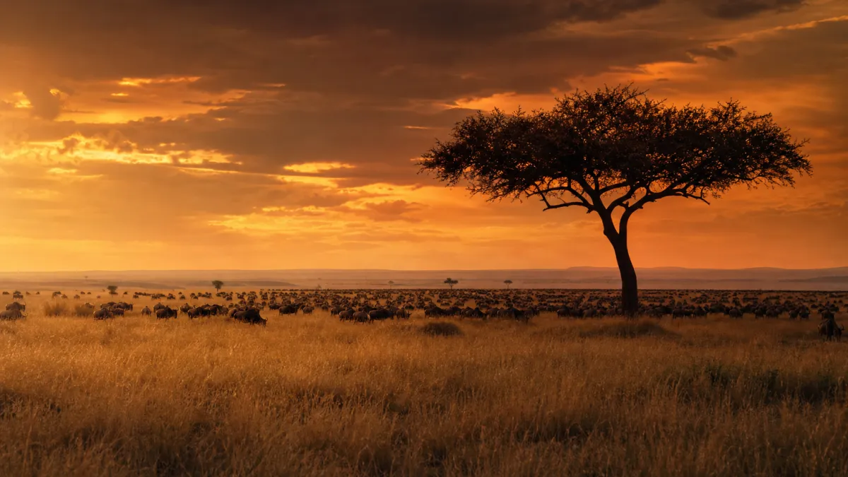 Savane du Serengeti : faune, flore et secrets de l'écosystème